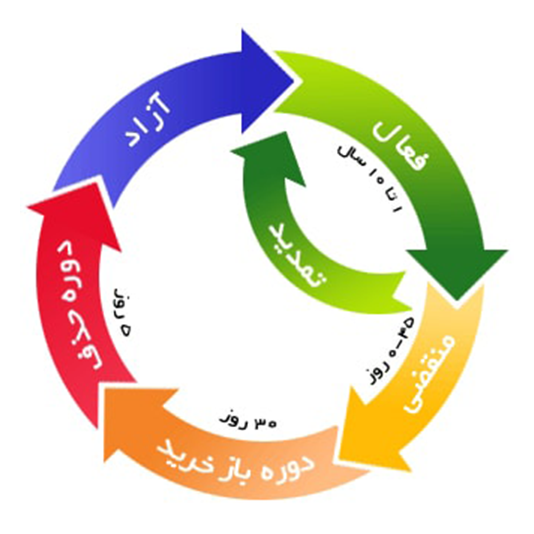 چرخه حیات دامین‌های بین‌المللی