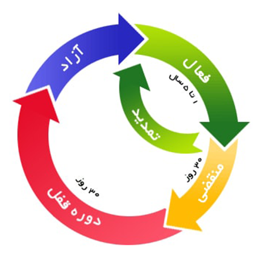 چرخه حیات دامین‌های ملی IR - ایرنیک